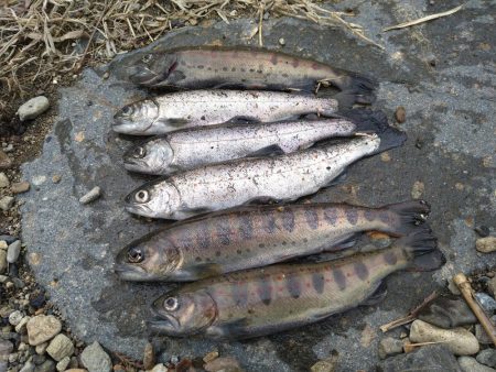 寒すぎて釣れない